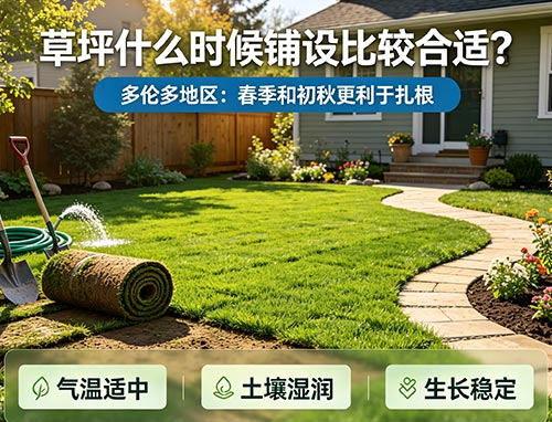 草坪什么时候铺设比较合适?多伦多天然草坪最佳施工季节指南(图1) 17.jpg