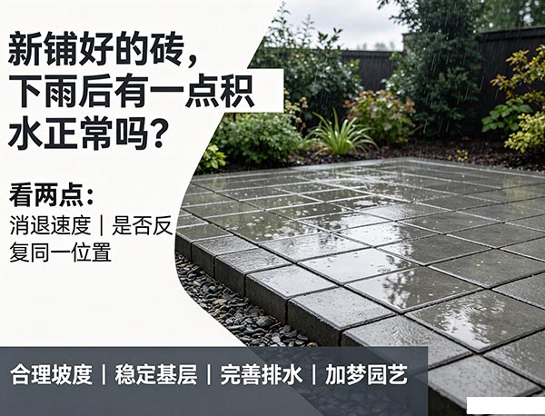 新铺好的砖,下雨后有一点积水正常吗?如何判断是否属于正常现象?(图1) 24.jpg
