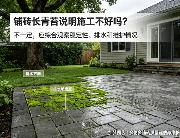 铺砖长青苔说明施工不好吗?原因分析与防治方法指南(图1) 铺砖长青苔说明施工不好吗?原因分析与防治方法指南(图1)