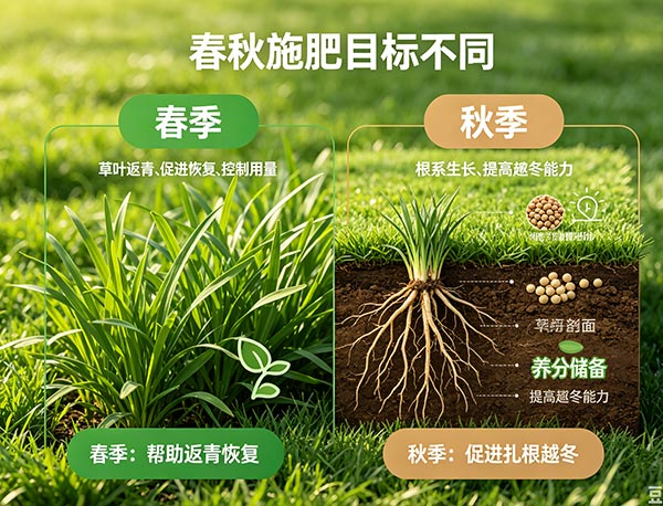 春季还是秋季施肥更重要?多伦多草坪最佳施肥时间解析(图1) 春季还是秋季施肥更重要?多伦多草坪最佳施肥时间解析(图1)