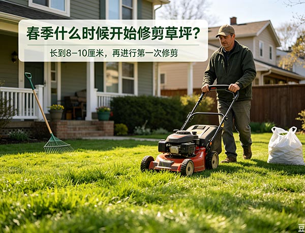春季什么时候开始修剪草坪？第一次修剪时间与注意事项(图1)