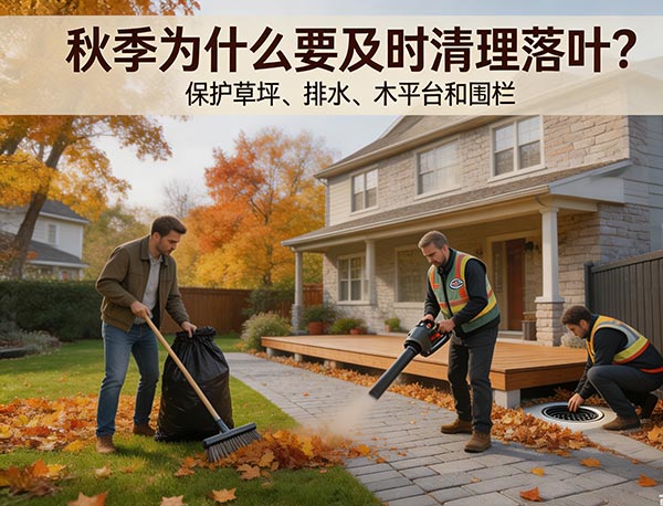 秋季落叶清理指南|多伦多庭院秋季养护完整攻略(图1) 秋季落叶清理指南|多伦多庭院秋季养护完整攻略(图1)